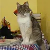 Отзыв от Евгения Медведева